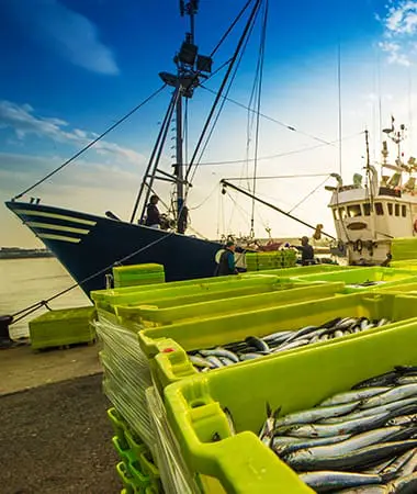 Neptune P2P Group - Maritime Security Services- Fisheries Protection.web