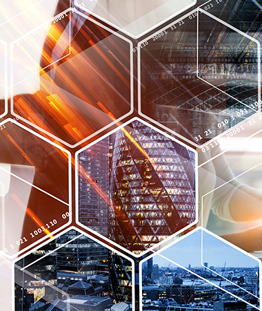 Risk Advisory Services