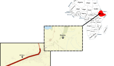 Insights from the Ethiopia Bus Abduction Incident