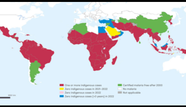 Travel Risk Update – WHO certifies Egypt as Malaria-Free