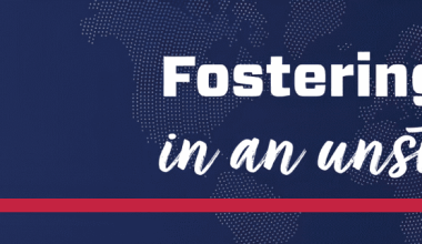 INTERNATIONAL STABILITY OPERATIONS ASSOCIATION (ISOA)