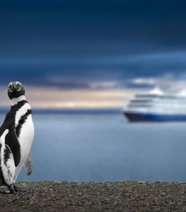 Cruise Ship Security and Risk Consultancy in Chile