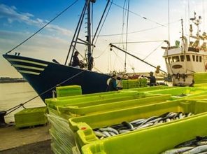 Marine Works and Cable Laying