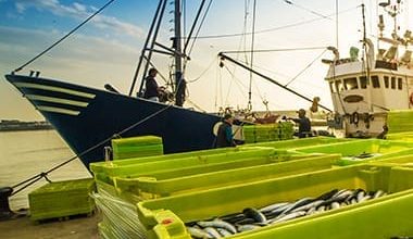 Fisheries Protection