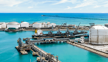 Ports and Terminal Security