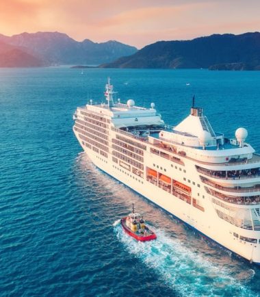 Cruise Line Protection in the Indian Ocean